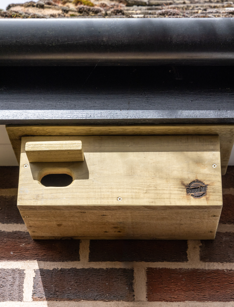Swift box SC 2